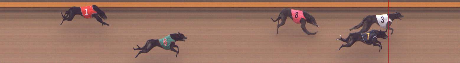 Photo finish for Shepparton Race 11