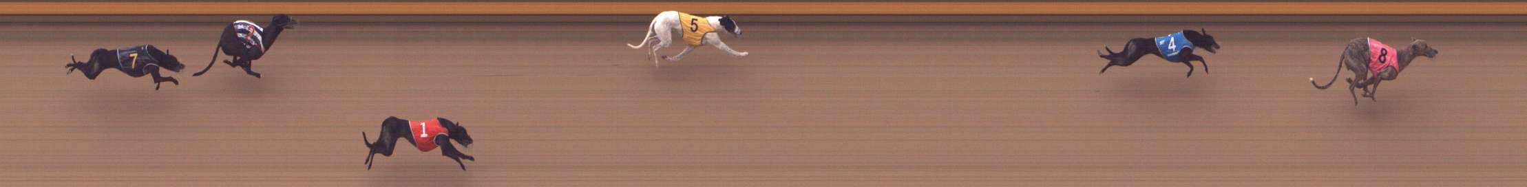 Photo finish for Shepparton Race 12