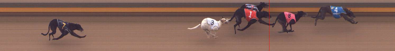 Photo finish for Shepparton Race 13