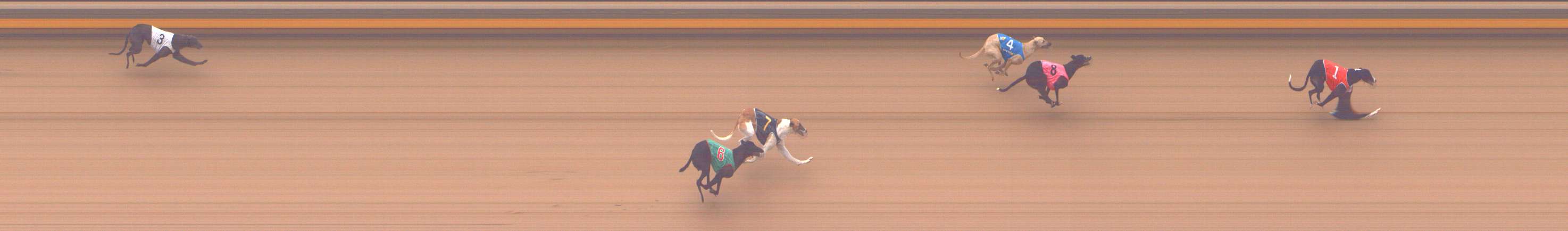 Photo finish for Shepparton Race 1