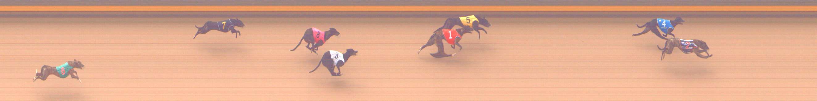 Photo finish for Shepparton Race 2