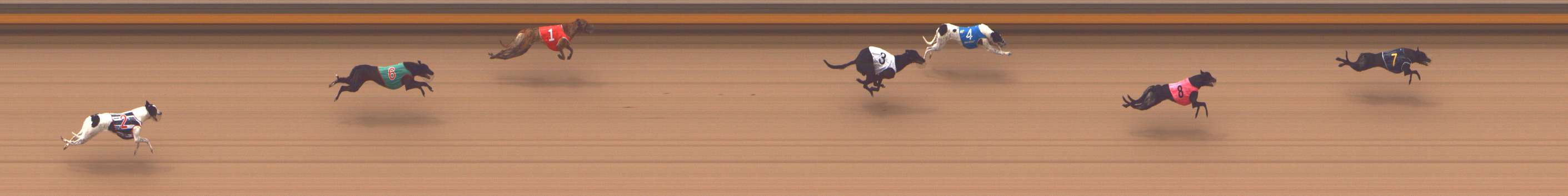 Photo finish for Shepparton Race 3