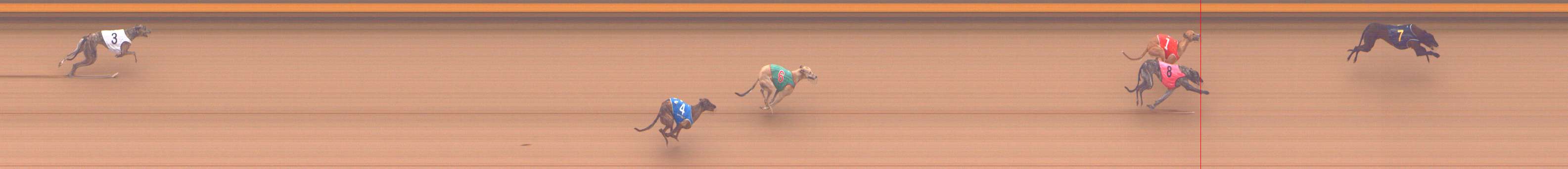 Photo finish for Shepparton Race 4