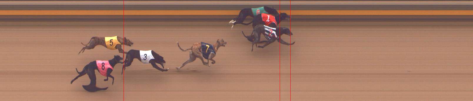 Photo finish for Shepparton Race 5