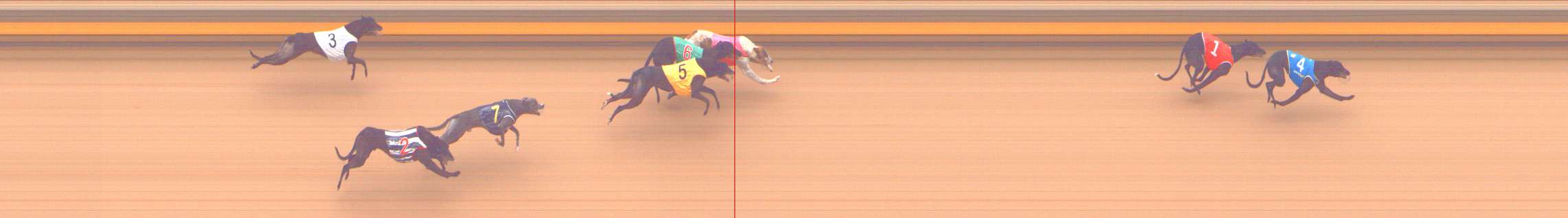 Photo finish for Shepparton Race 8
