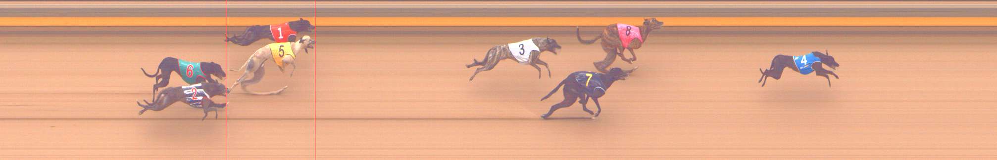 Photo finish for Shepparton Race 10