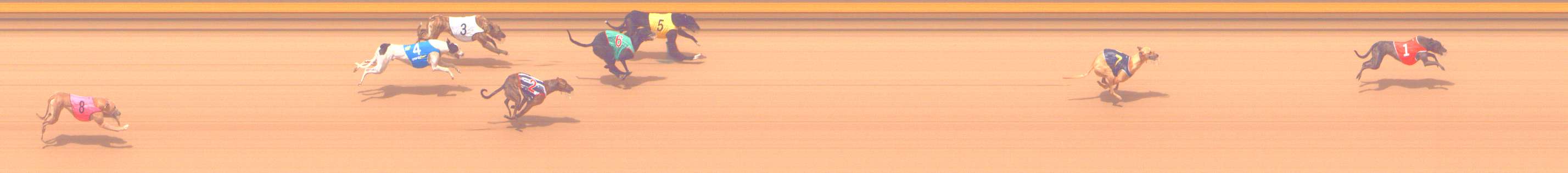 Photo finish for Shepparton Race 11