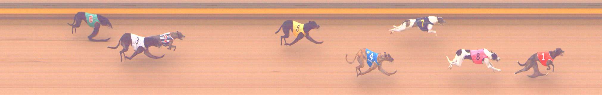 Photo finish for Shepparton Race 12