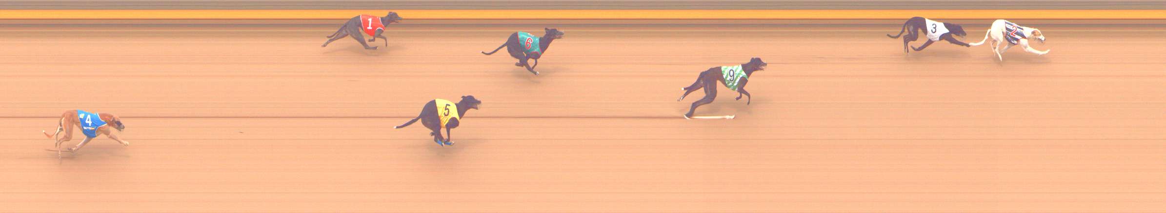Photo finish for Shepparton Race 13
