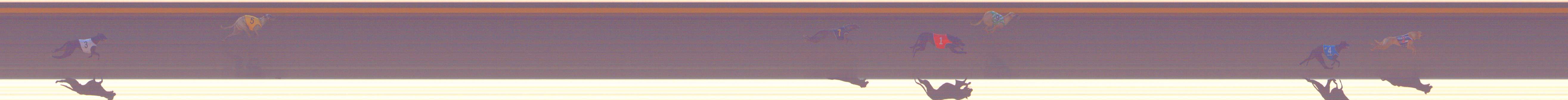 Photo finish for Shepparton Race 1