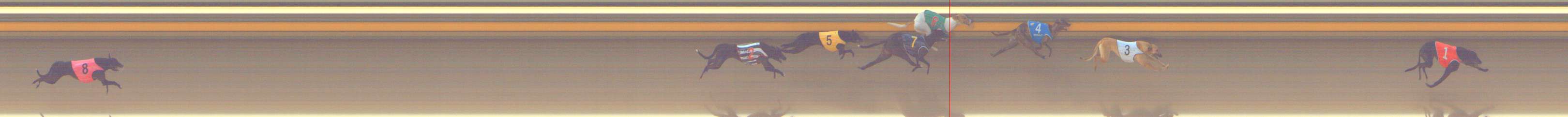 Photo finish for Shepparton Race 2