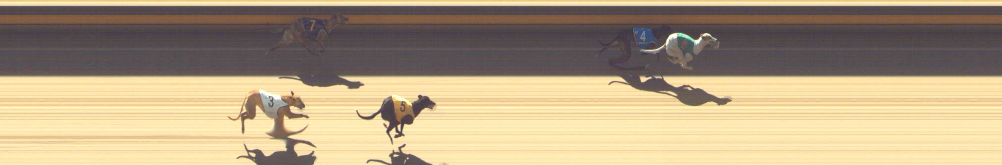 Photo finish for Shepparton Race 5