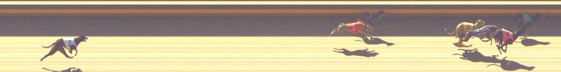 Photo finish for Shepparton Race 6