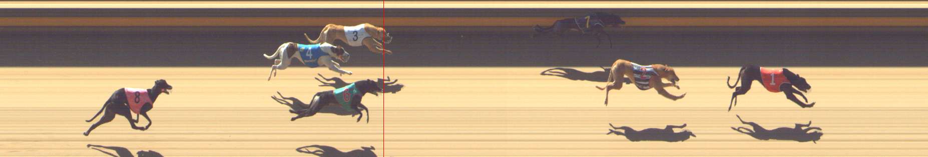 Photo finish for Shepparton Race 7