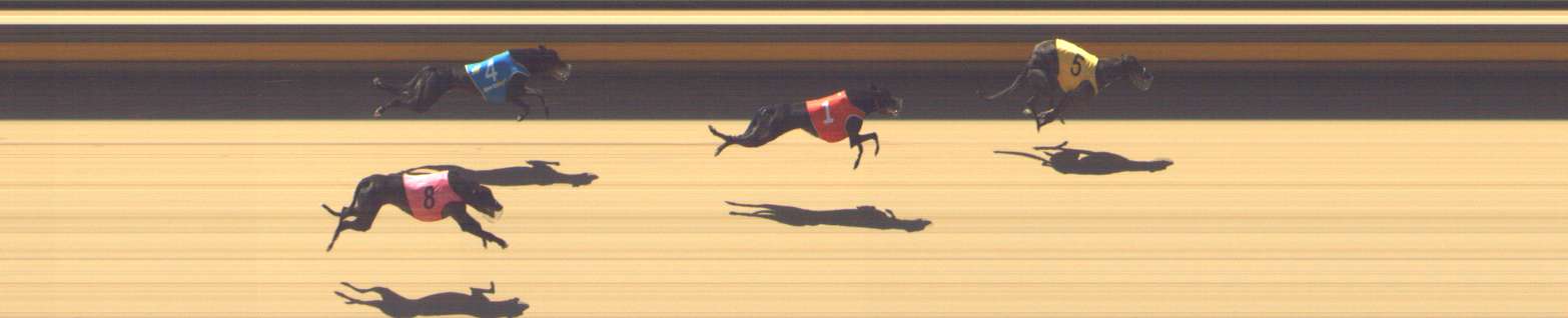 Photo finish for Shepparton Race 9