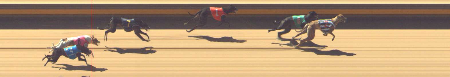 Photo finish for Shepparton Race 10