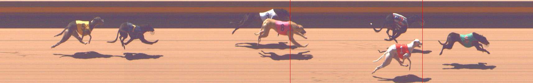Photo finish for Shepparton Race 11