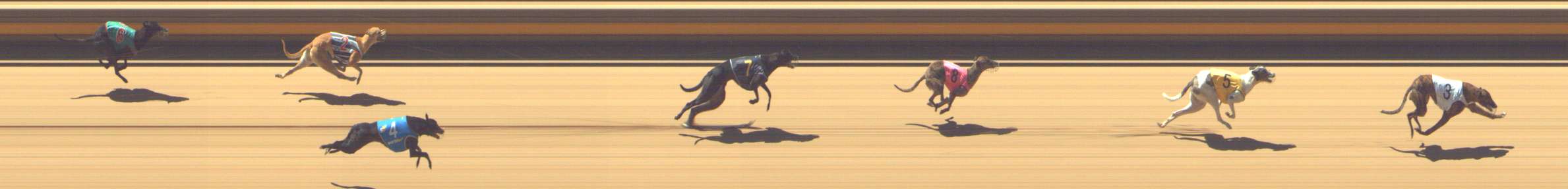 Photo finish for Shepparton Race 12