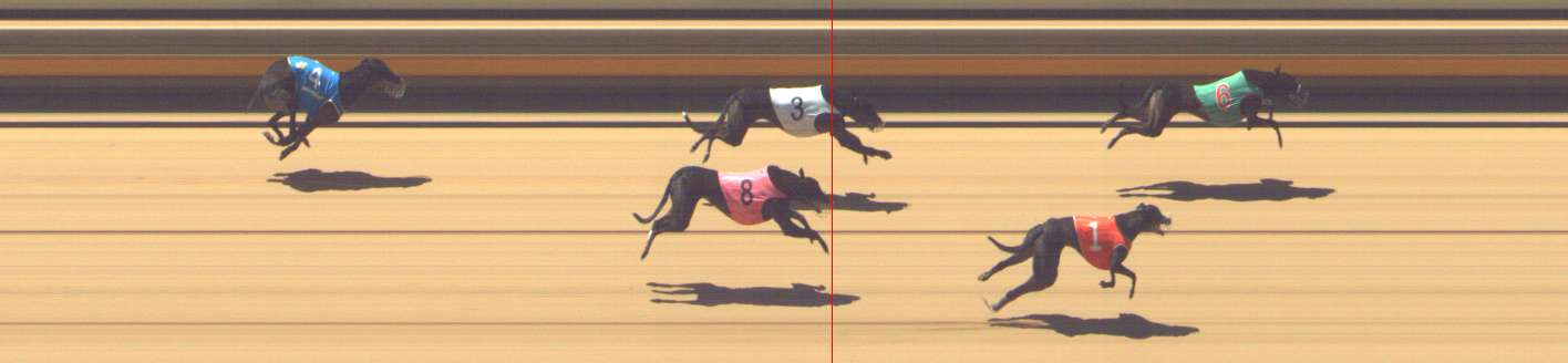 Photo finish for Shepparton Race 13