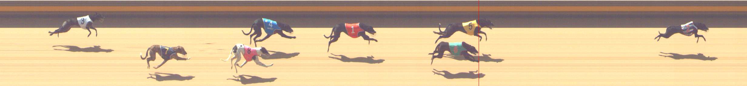 Photo finish for Shepparton Race 1