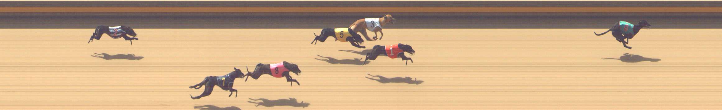 Photo finish for Shepparton Race 2