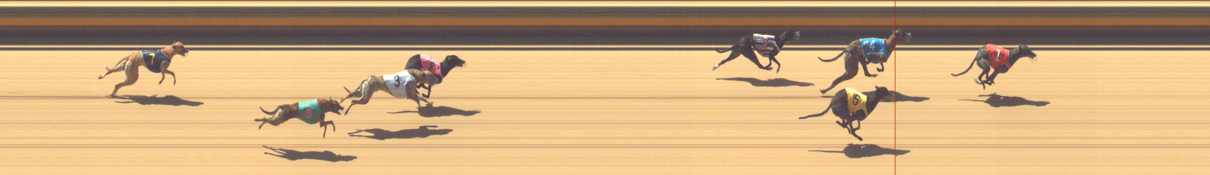 Photo finish for Shepparton Race 3