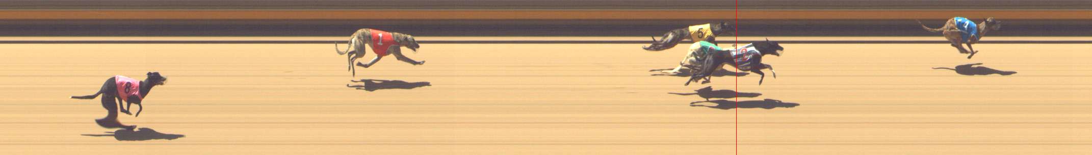 Photo finish for Shepparton Race 4