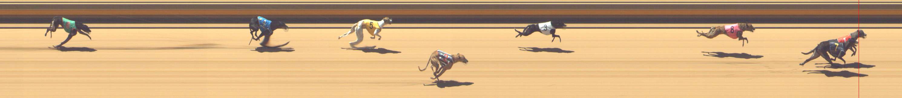 Photo finish for Shepparton Race 5