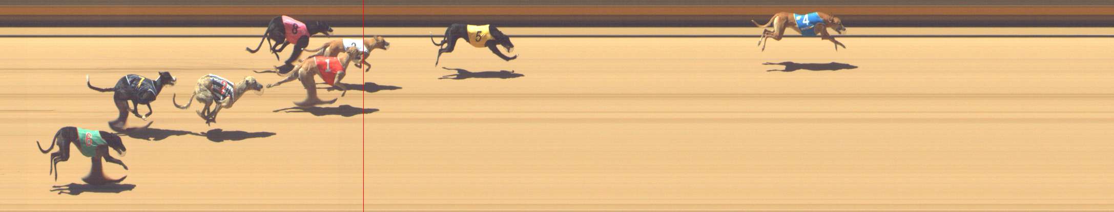 Photo finish for Shepparton Race 6