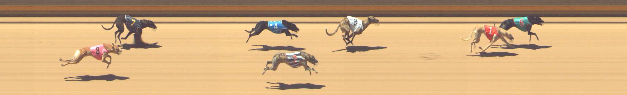 Photo finish for Shepparton Race 7
