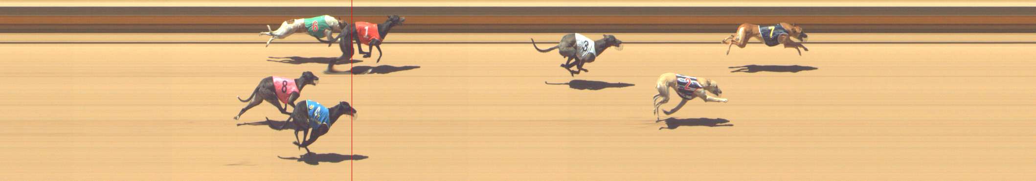 Photo finish for Shepparton Race 8