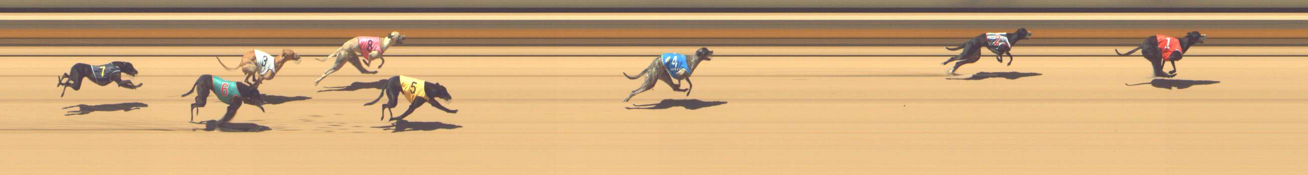 Photo finish for Shepparton Race 9