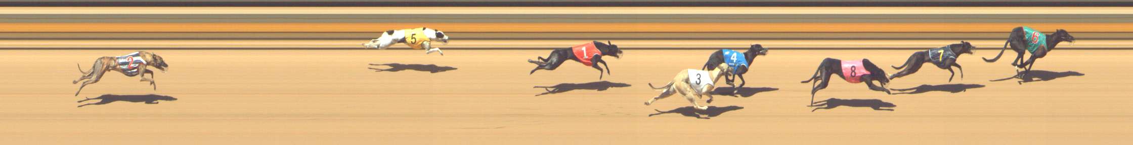 Photo finish for Shepparton Race 11