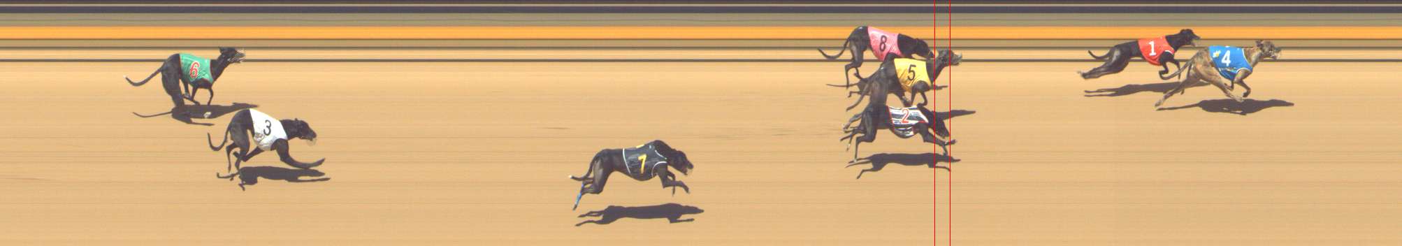 Photo finish for Shepparton Race 12