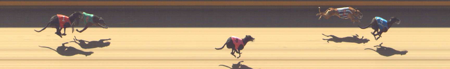 Photo finish for Shepparton Race 3