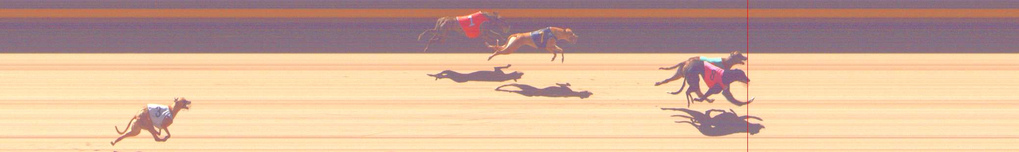 Photo finish for Shepparton Race 4