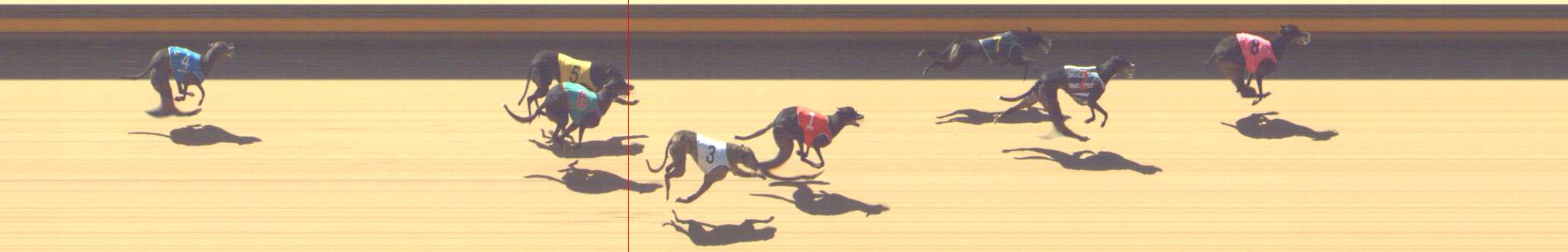 Photo finish for Shepparton Race 5