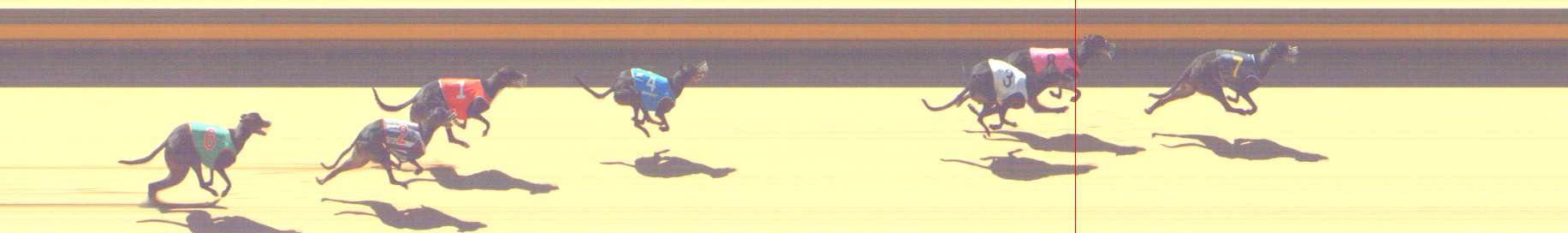 Photo finish for Shepparton Race 6