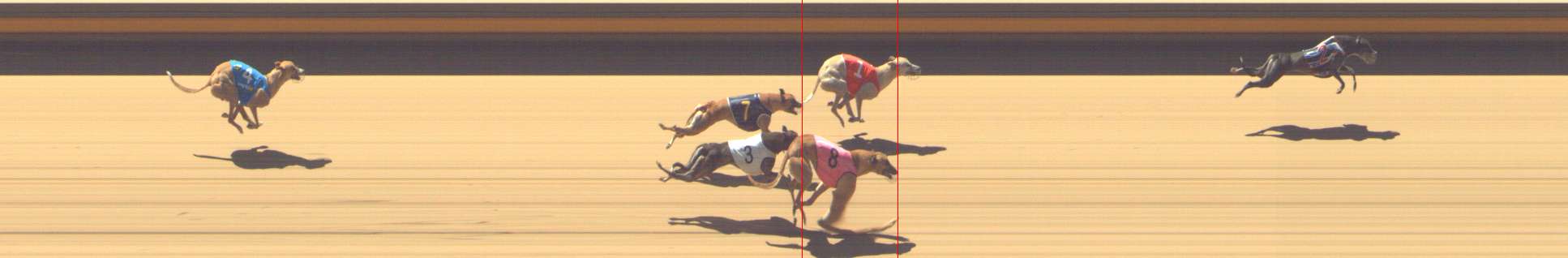 Photo finish for Shepparton Race 7