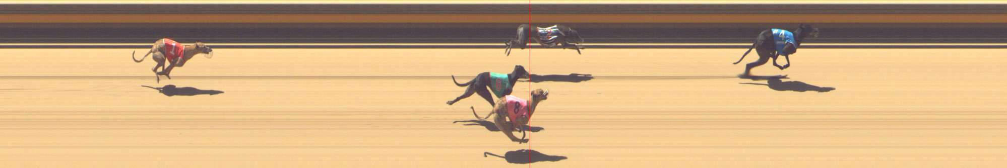 Photo finish for Shepparton Race 8