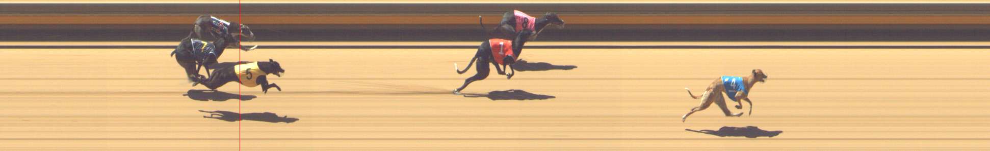 Photo finish for Shepparton Race 9