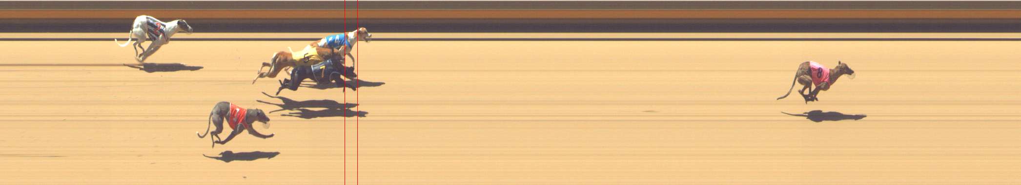 Photo finish for Shepparton Race 10