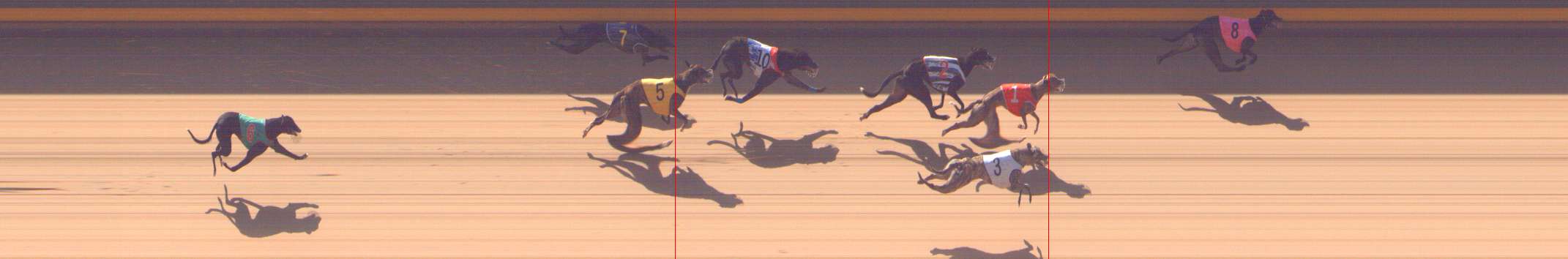 Photo finish for Shepparton Race 2