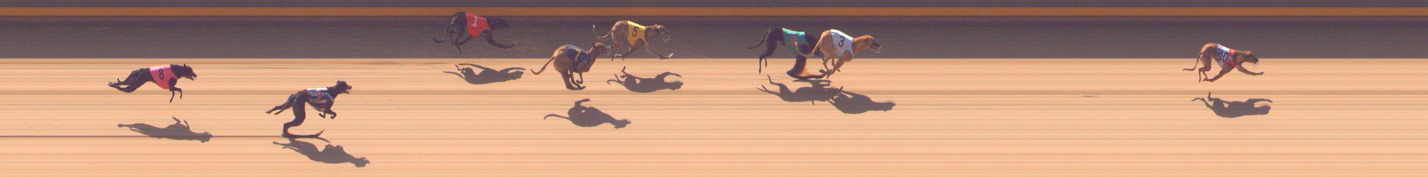 Photo finish for Shepparton Race 3