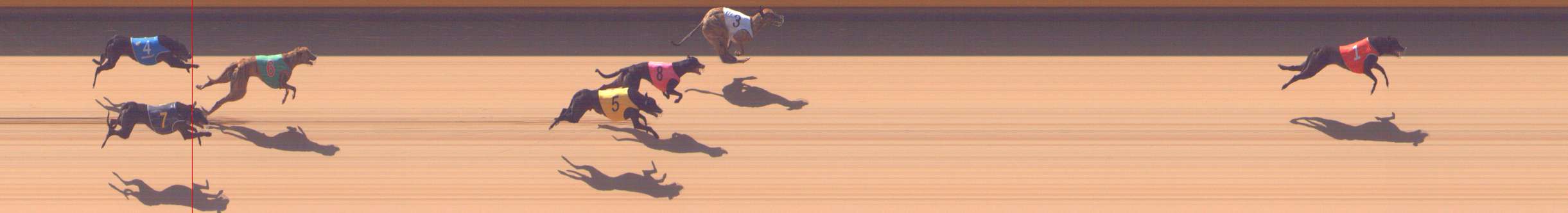 Photo finish for Shepparton Race 4