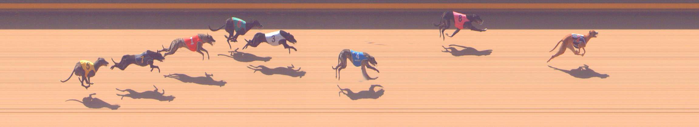 Photo finish for Shepparton Race 5