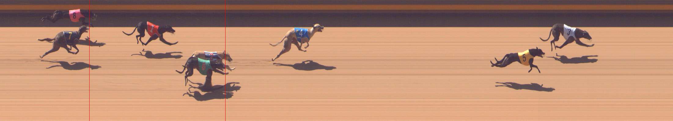 Photo finish for Shepparton Race 7