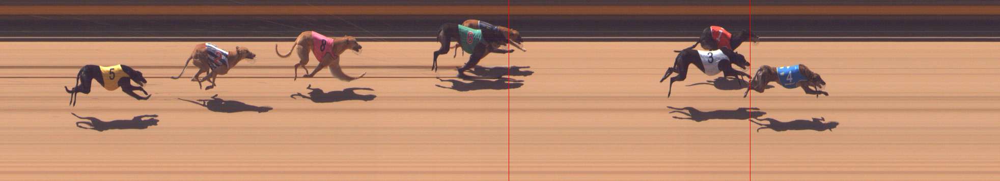 Photo finish for Shepparton Race 8