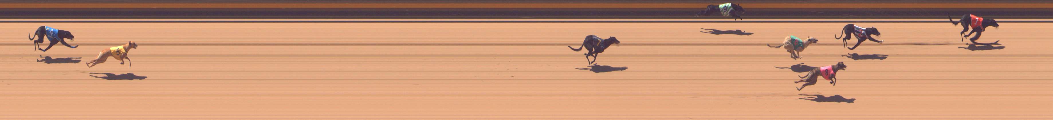 Photo finish for Shepparton Race 9