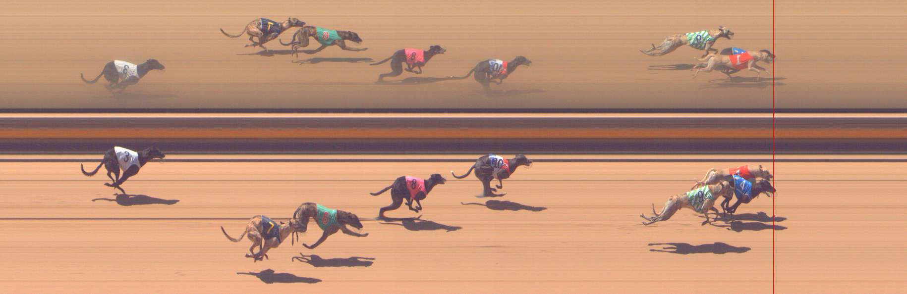 Photo finish for Shepparton Race 10
